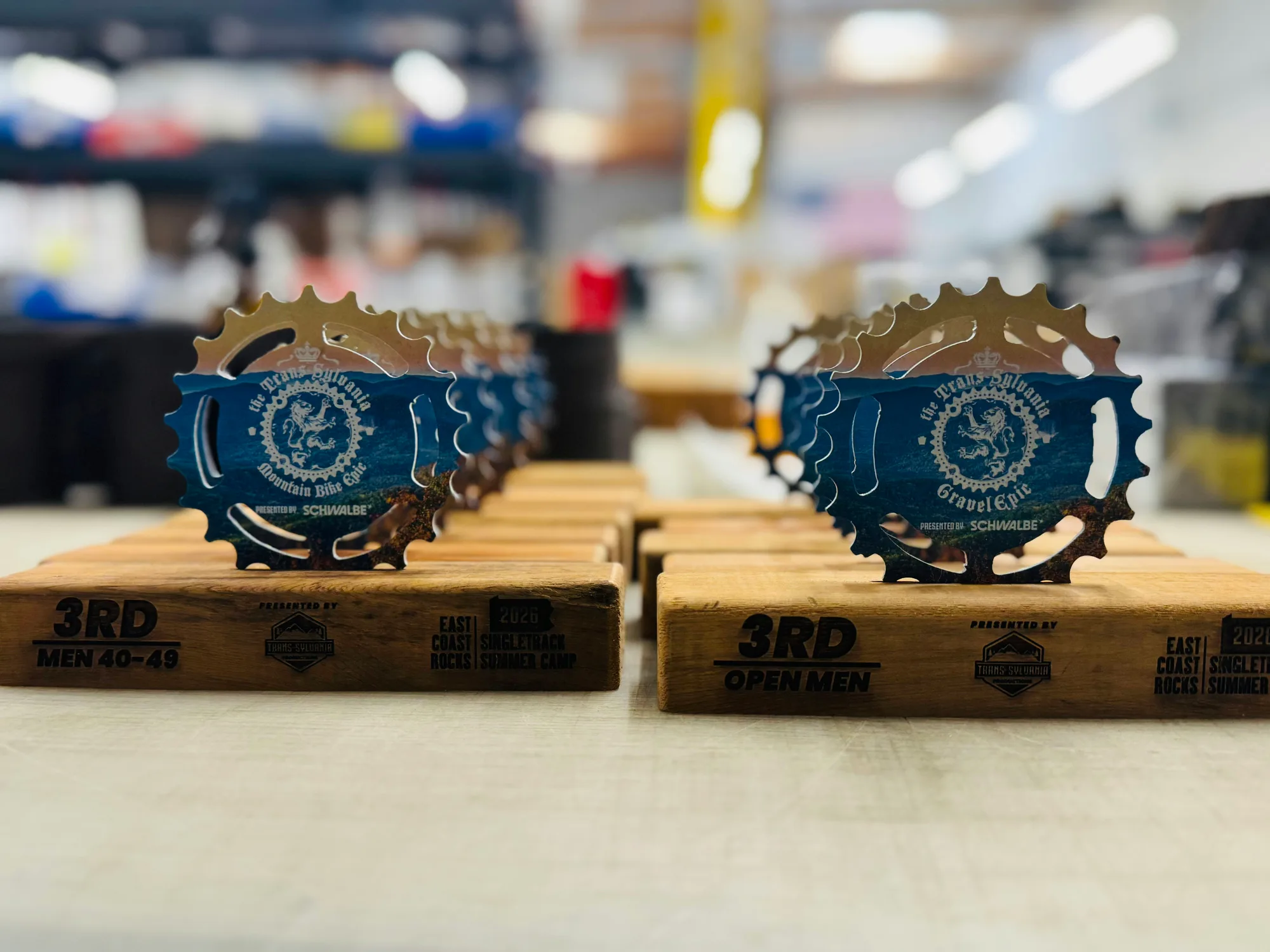 Rows of finished gear-shaped trophies for the Trans-Sylvania Mountain Bike Epic lined up on the ReGeared workshop bench